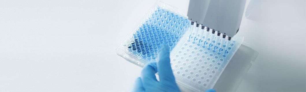 ��ȦΪ�Ķ���