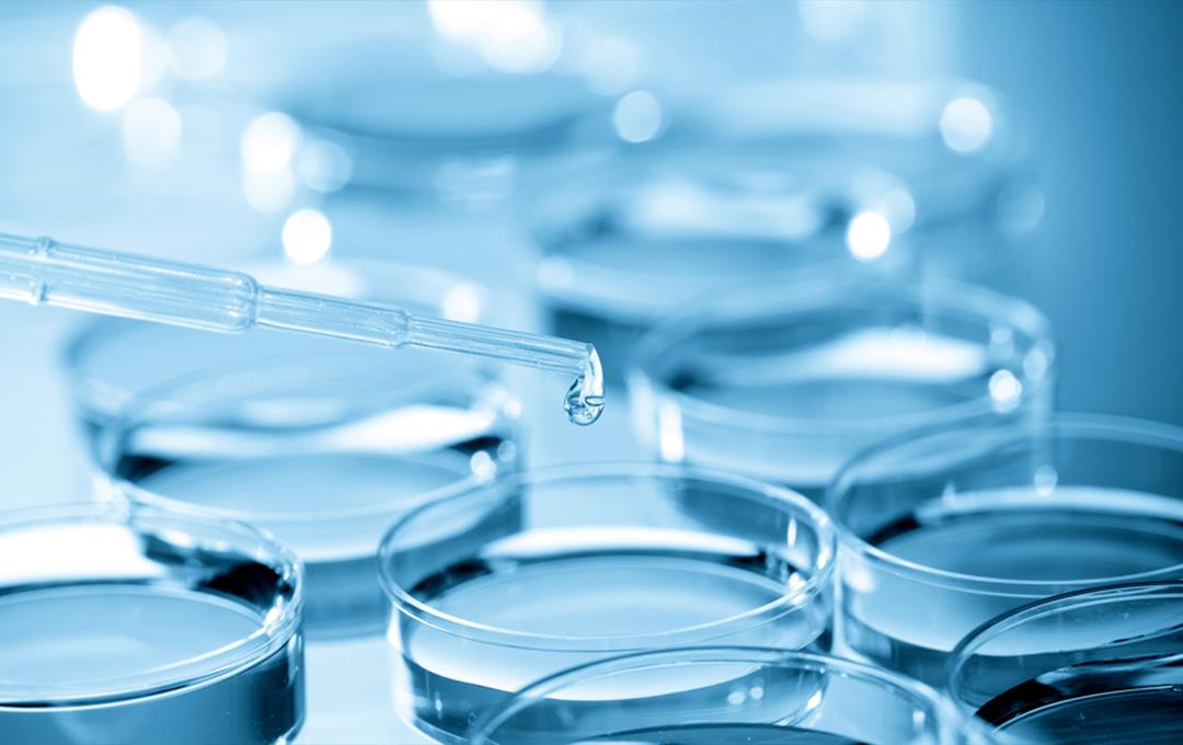 ��ȦΪ�Ķ���