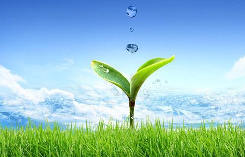 ��ȦΪ�Ķ���